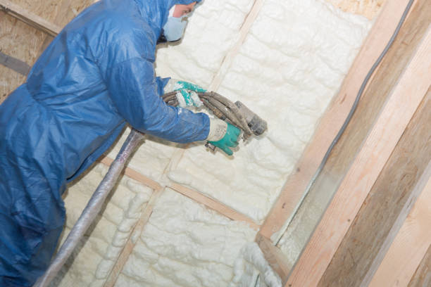 Best Commercial Insulation Services  in Berwyn Heights, MD